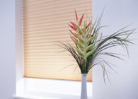 Pleated Blinds